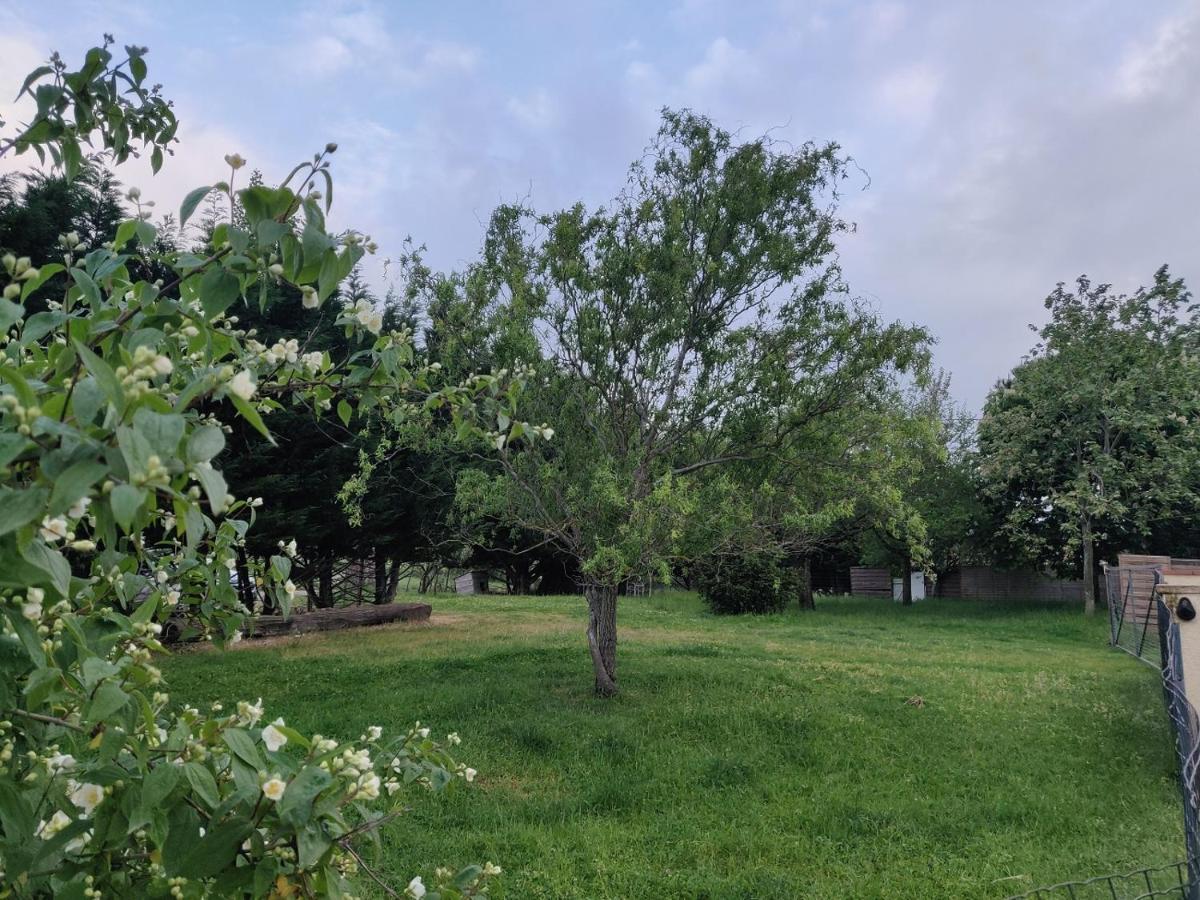 Le Gite Nature Bien-Etre Piscine Chauffee Privee Du Tarn Entre Toulouse Et Albi & Les Cottages Du Tarn Peyrole ภายนอก รูปภาพ