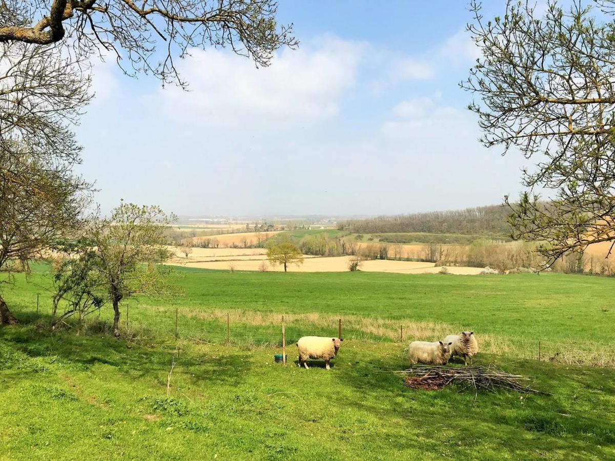 Le Gite Nature Bien-Etre Piscine Chauffee Privee Du Tarn Entre Toulouse Et Albi & Les Cottages Du Tarn Peyrole ภายนอก รูปภาพ