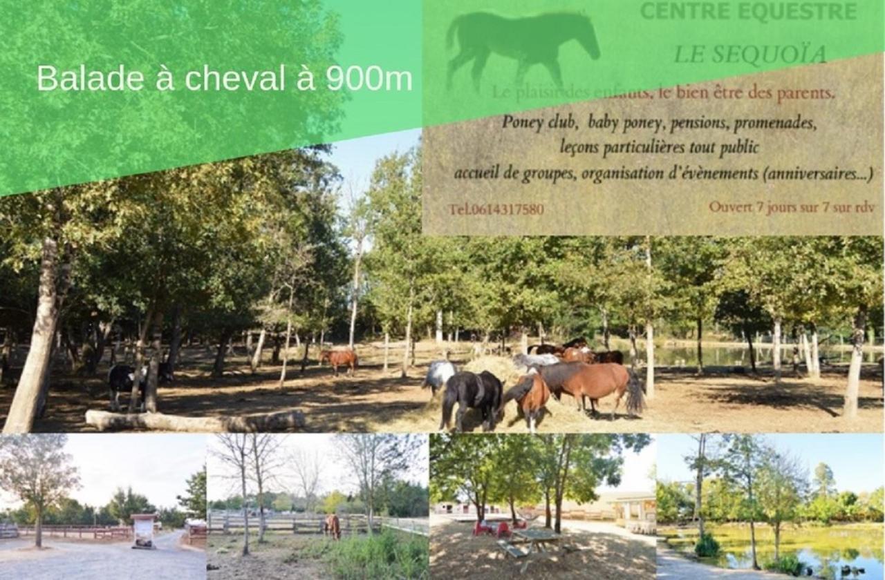 Le Gite Nature Bien-Etre Piscine Chauffee Privee Du Tarn Entre Toulouse Et Albi & Les Cottages Du Tarn Peyrole ภายนอก รูปภาพ